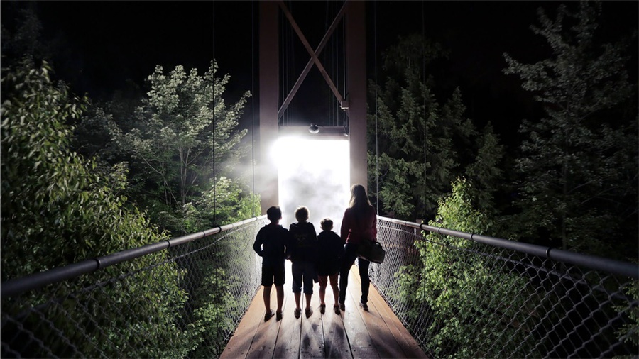 身临其境的冒险活动派对，幻光森林的感官体验无与伦比