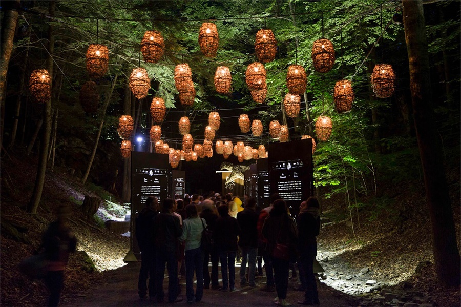 身临其境的冒险活动派对，幻光森林的感官体验无与伦比