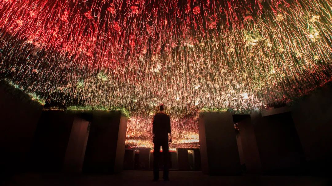 沉浸式艺术灯光展览装置形象地呈现了人与自然之间的微妙关系