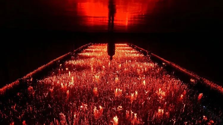 沉浸式艺术灯光展览装置形象地呈现了人与自然之间的微妙关系