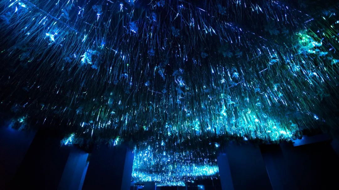 沉浸式艺术灯光展览装置形象地呈现了人与自然之间的微妙关系