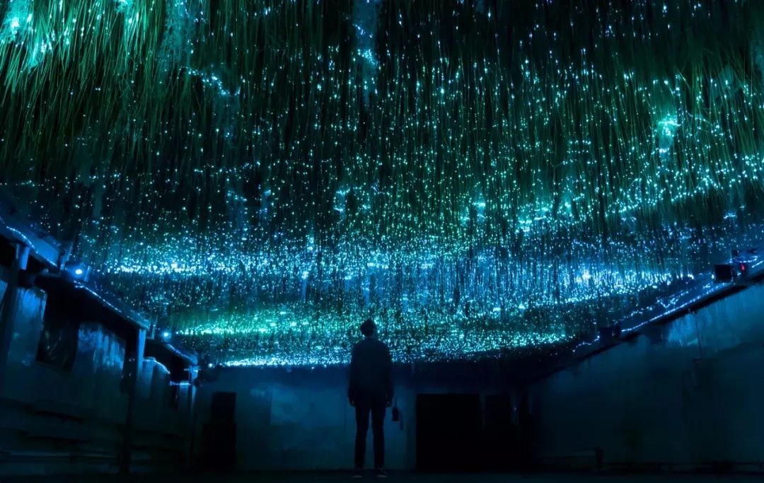 沉浸式艺术灯光展览装置形象地呈现了人与自然之间的微妙关系