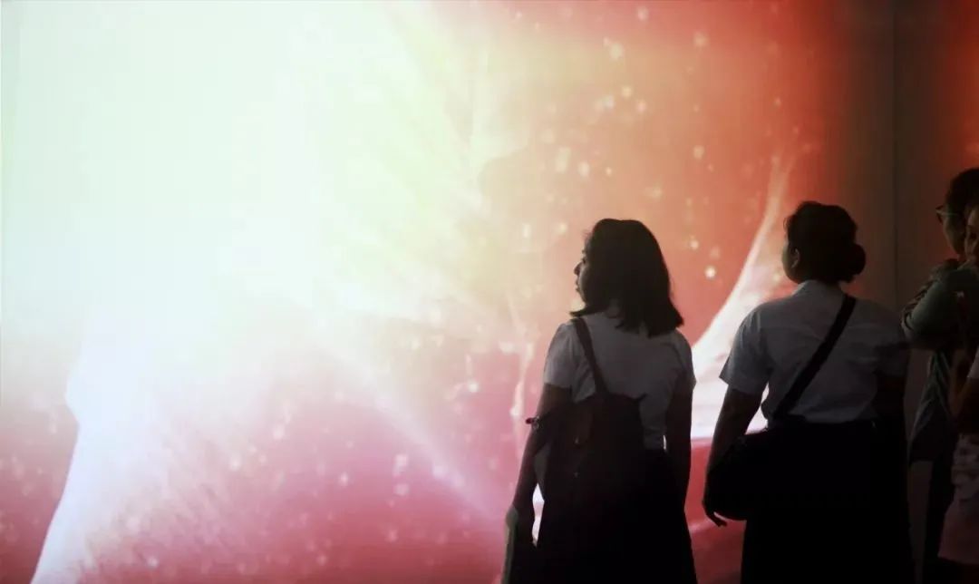 藏在洞穴里的艺术展览活动正在刺激着你所有的感官