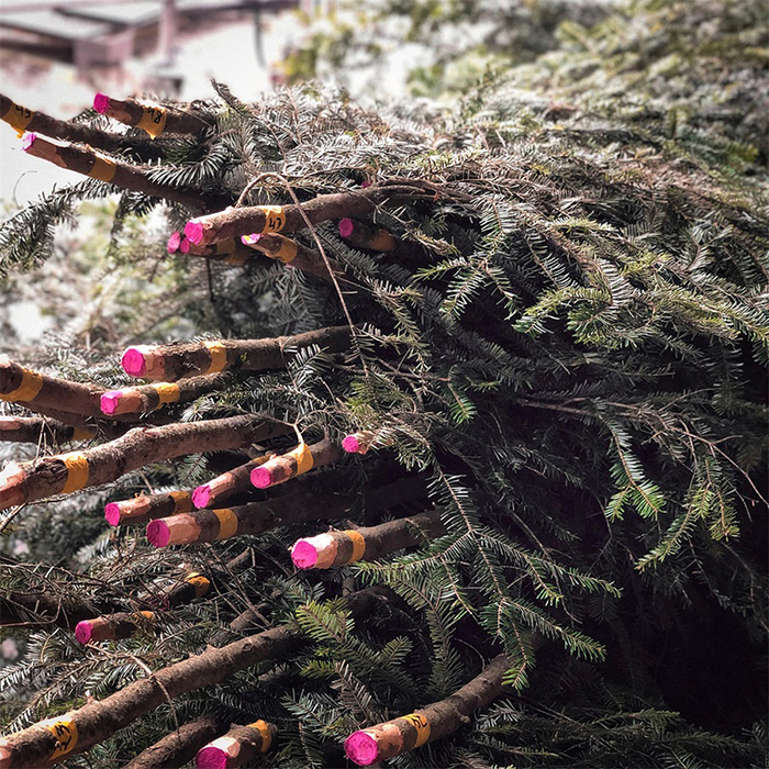 烹饪界的奥斯卡颁奖典礼活动现场策划的市集广场装置，布谷鸟钟很震撼