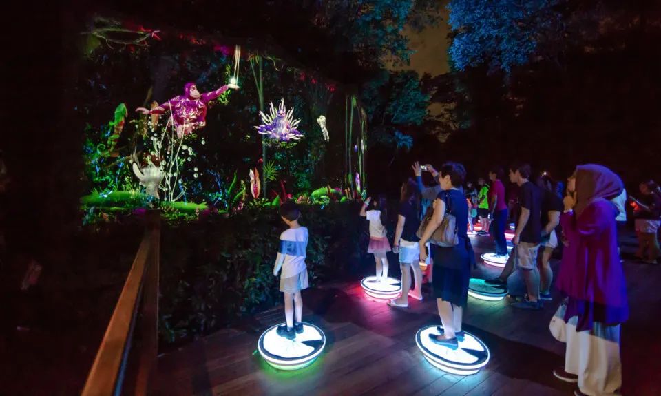 新加坡动物园周年庆活动策划了亚洲第一个沉浸式多媒体夜游体验