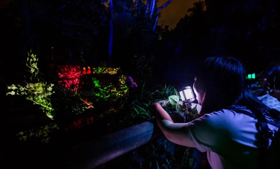 新加坡动物园周年庆活动策划了亚洲第一个沉浸式多媒体夜游体验