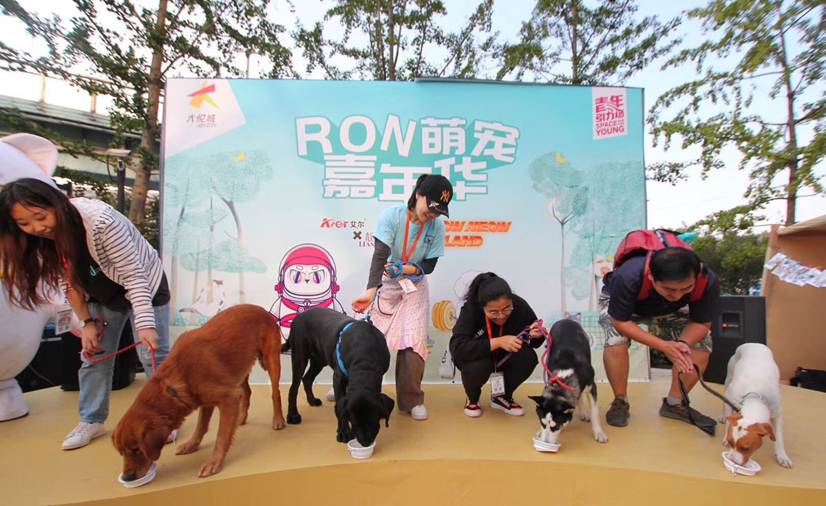 萌宠嘉年华会展活动上欢声一片,萌宠们更是释放了束缚放开玩