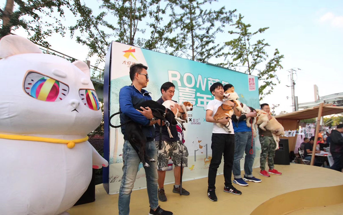 萌宠嘉年华会展活动上欢声一片,萌宠们更是释放了束缚放开玩