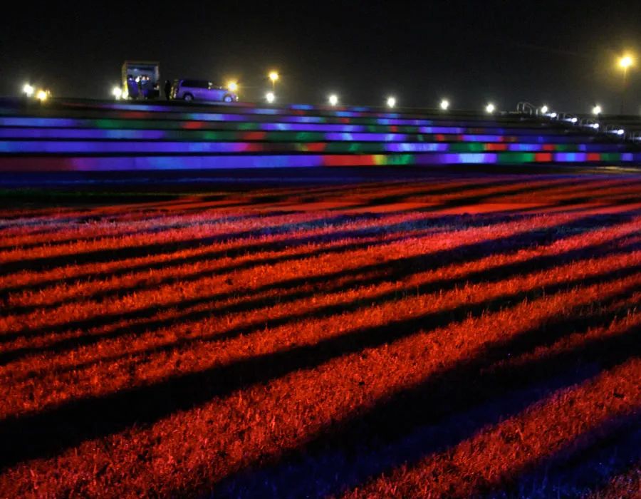 5英亩大草坪的灯光秀展览活动瞬息万变，震撼