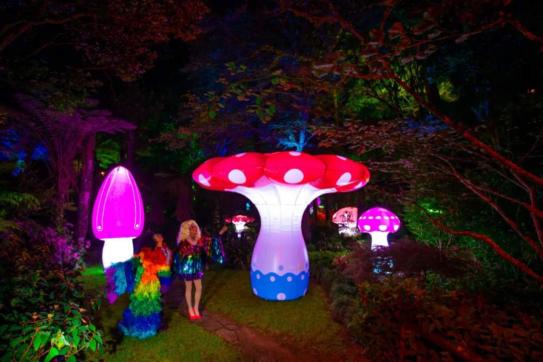 新普利茅斯灯光节活动策划将Pukekura公园变成了光影世界，魔幻