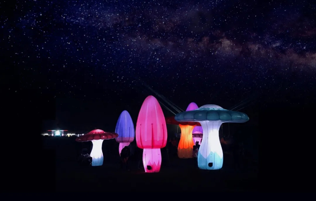 新普利茅斯灯光节活动策划将Pukekura公园变成了光影世界，魔幻