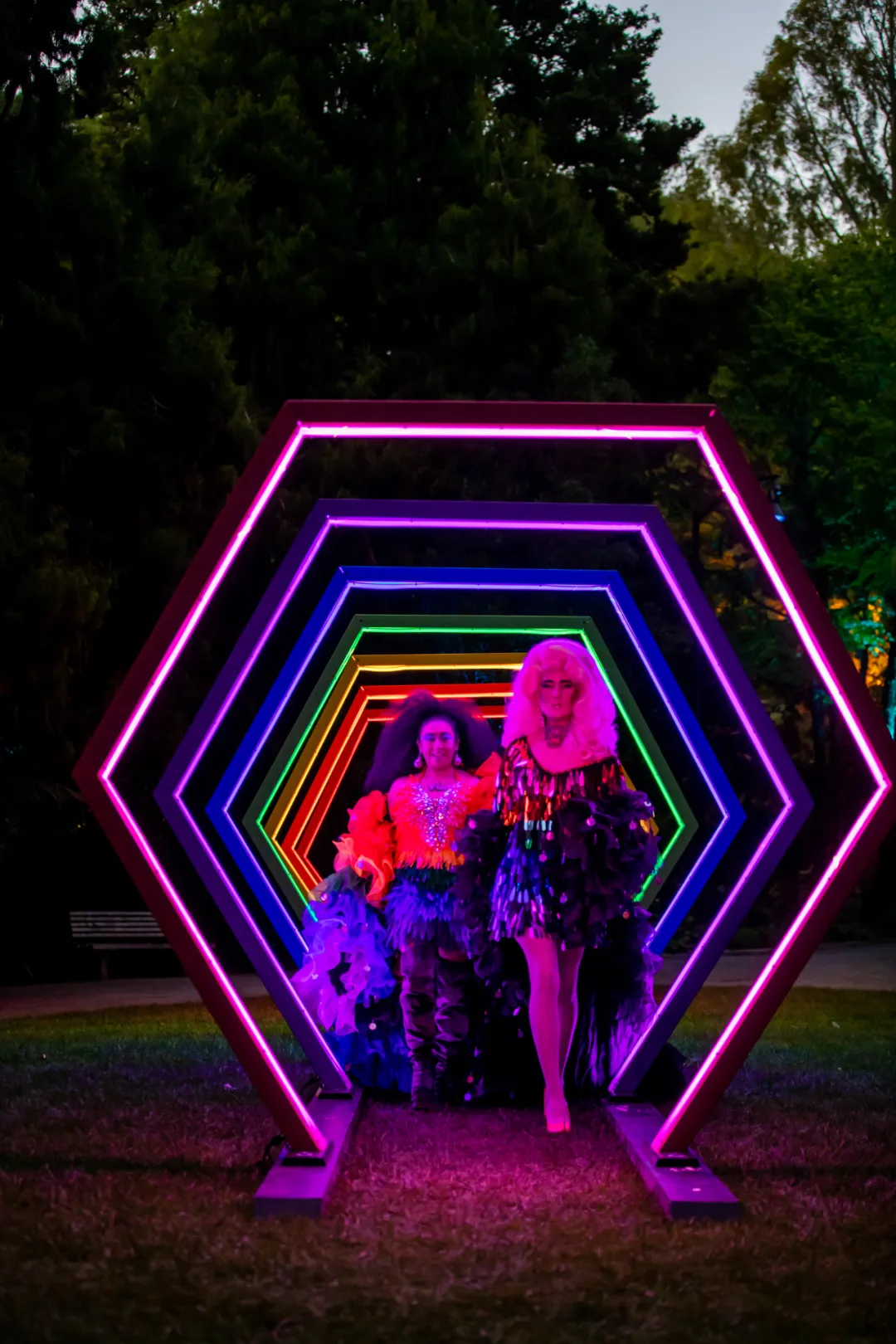 新普利茅斯灯光节活动策划将Pukekura公园变成了光影世界，魔幻