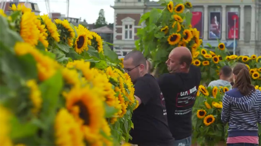 12.5万多向日葵打造的迷宫,这个开业庆典活动亮了视线