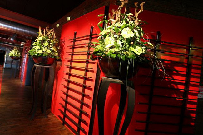 建筑公司100周年庆典活动上那群鹿未免太吸睛了吧