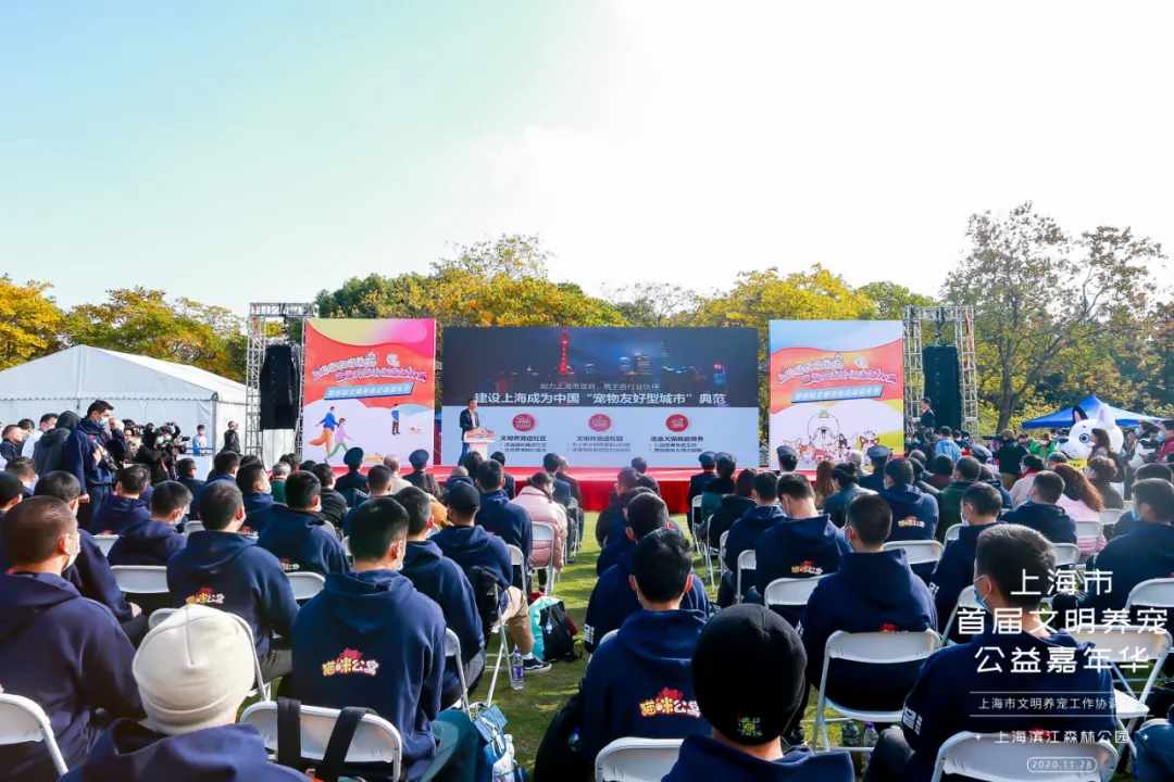 魔都宠物嘉年华活动策划，各大萌宠治愈力真的超级MAX！