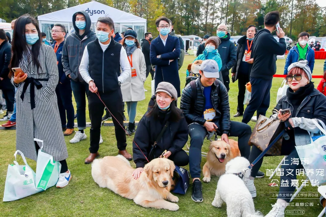 魔都宠物嘉年华活动策划,各大萌宠治愈力真的超级MAX!