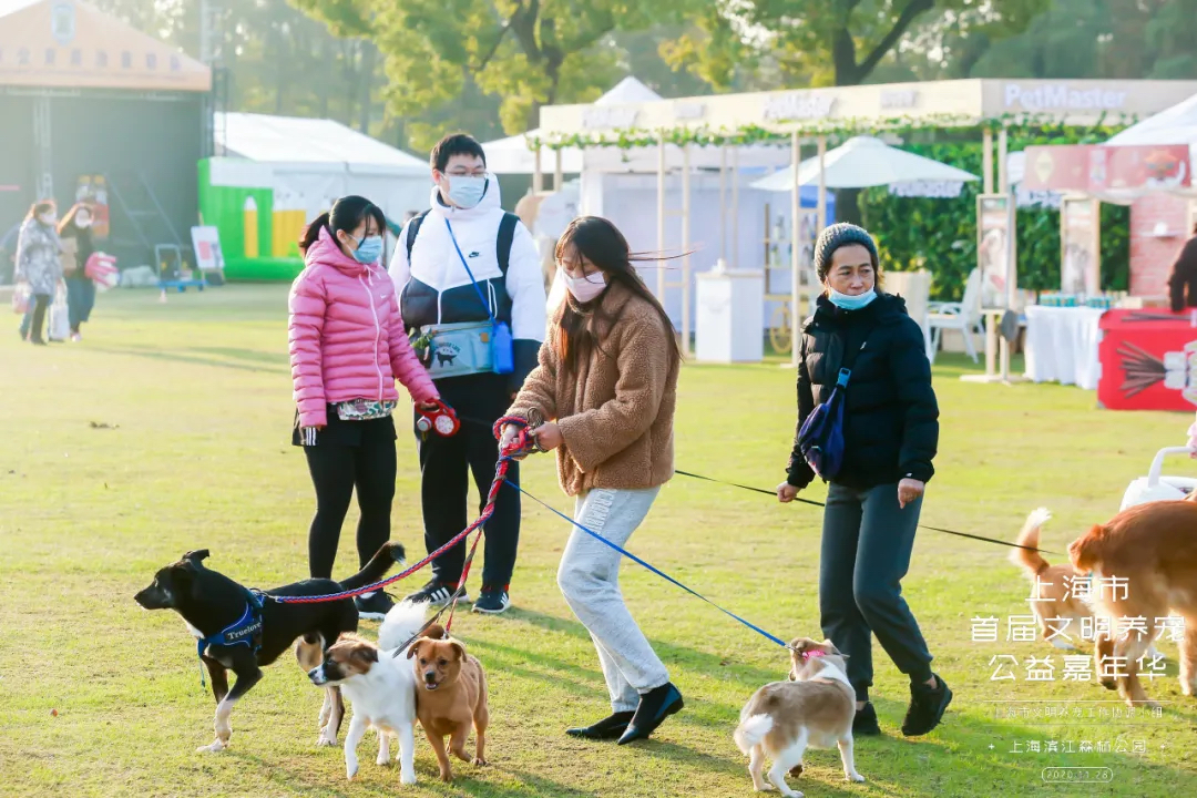 魔都宠物嘉年华活动策划,各大萌宠治愈力真的超级MAX!