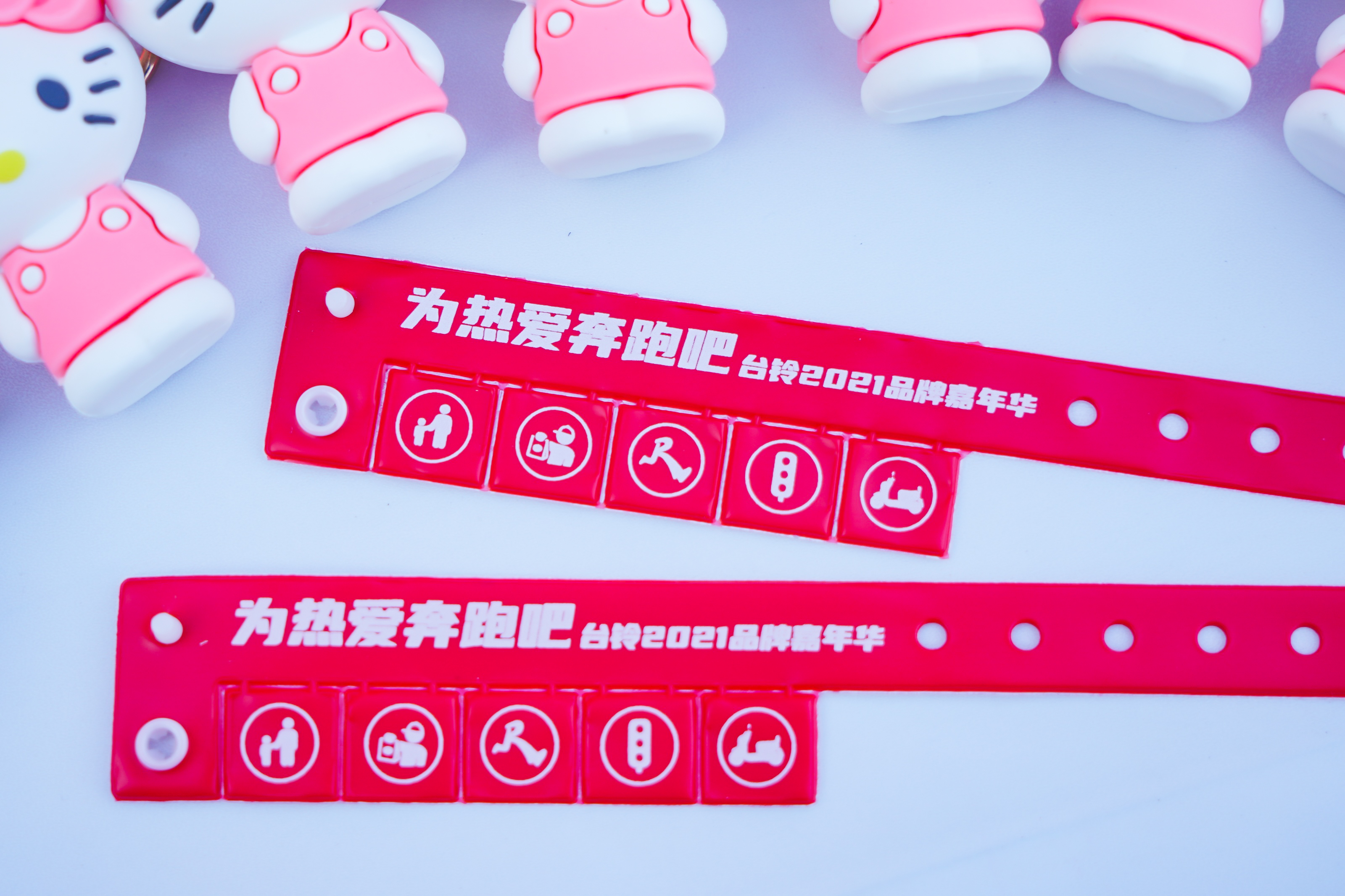 台铃品牌嘉年华活动策划上演了一场青春与活力的派对