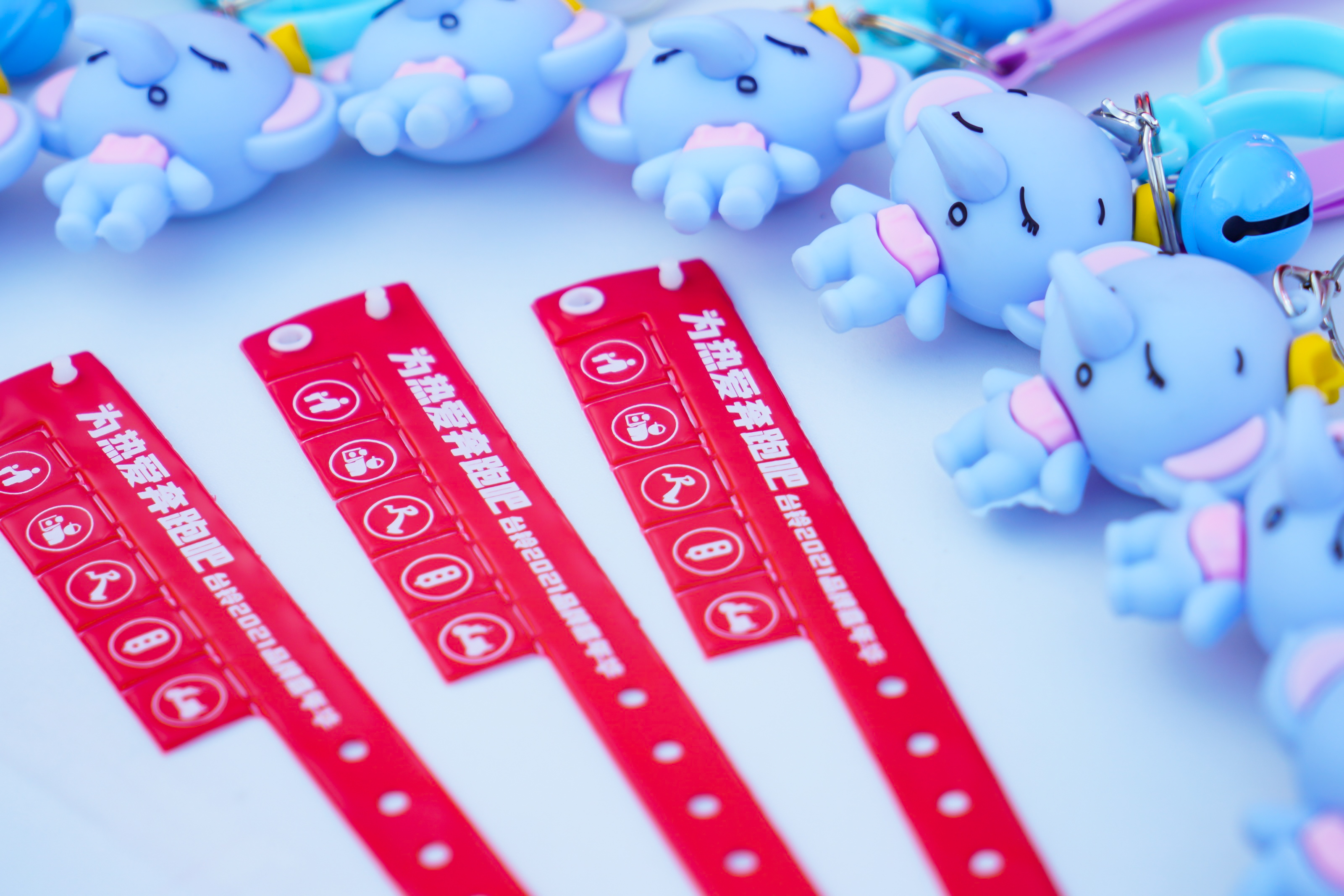 台铃品牌嘉年华活动策划上演了一场青春与活力的派对