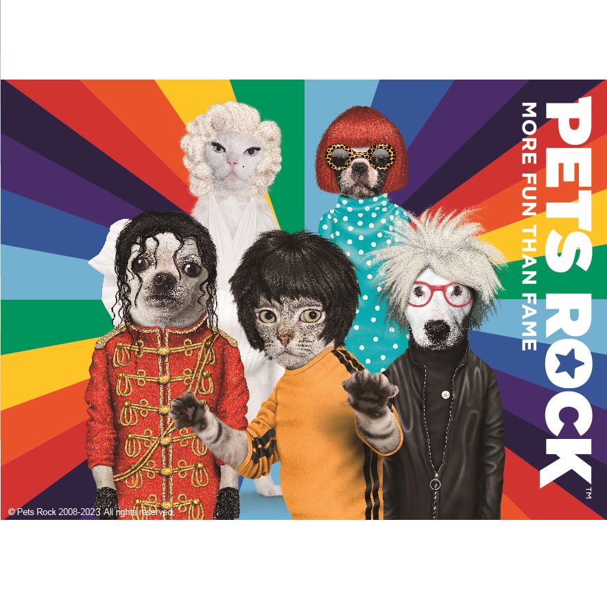 宠物摇滚Pets Rock